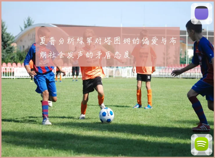 夏普分析绿军对塔图姆的偏爱与布朗社会发声的矛盾态度